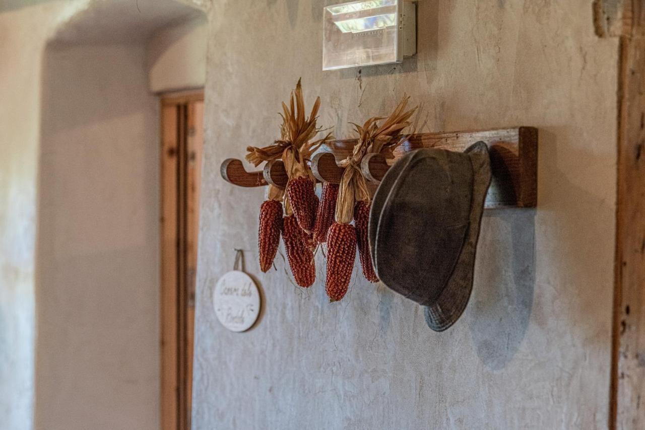 Camera De Le Rondole, Maso Postel - 500 Mt Strada Sterrata Pergine Valsugana Zewnętrze zdjęcie