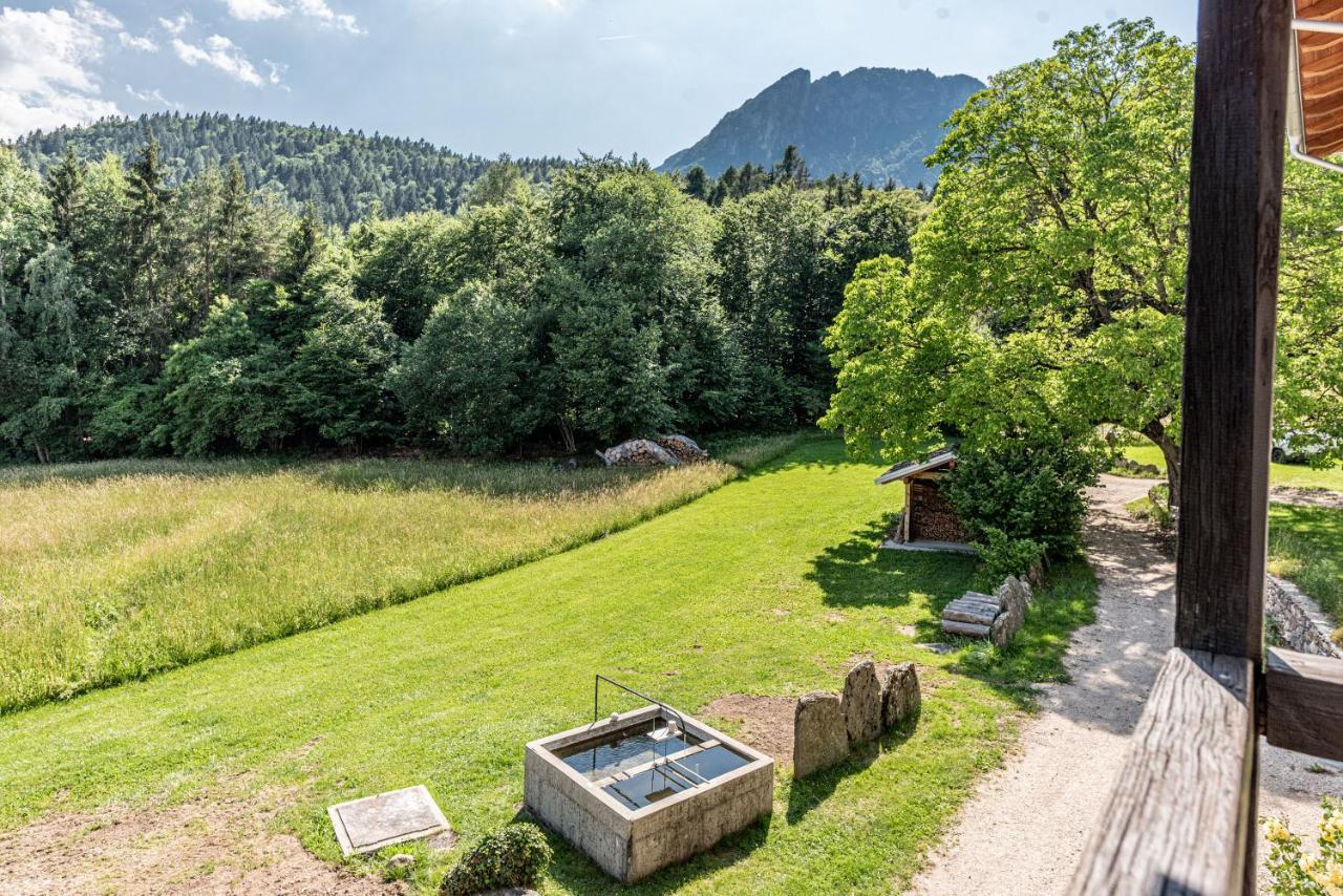 Camera De Le Rondole, Maso Postel - 500 Mt Strada Sterrata Pergine Valsugana Zewnętrze zdjęcie