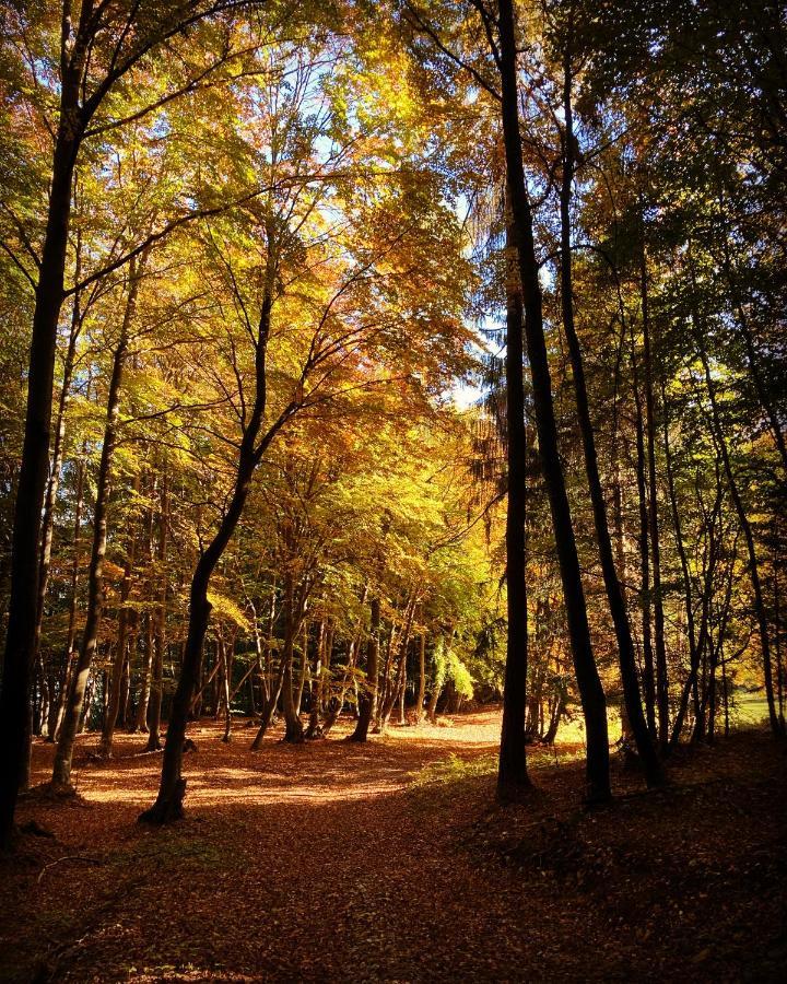 Camera De Le Rondole, Maso Postel - 500 Mt Strada Sterrata Pergine Valsugana Zewnętrze zdjęcie