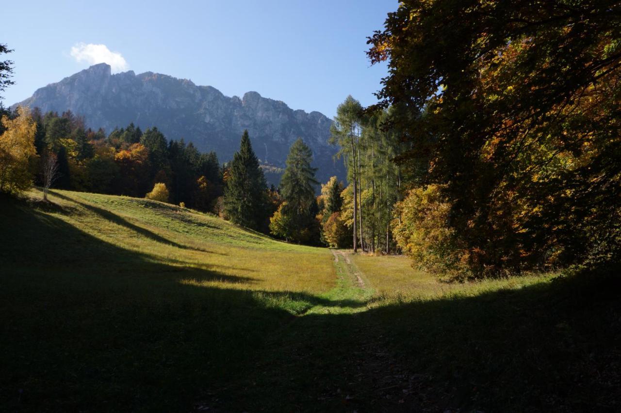 Camera De Le Rondole, Maso Postel - 500 Mt Strada Sterrata Pergine Valsugana Zewnętrze zdjęcie